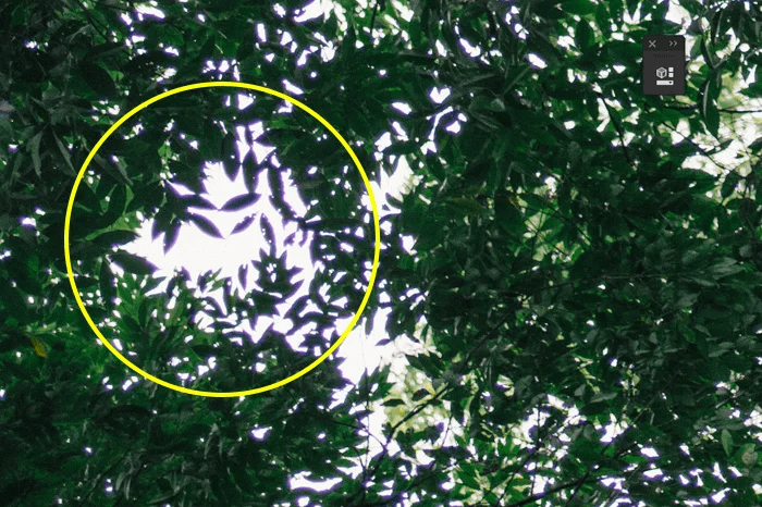 什么是色差关于光学镜头色差的简单概述