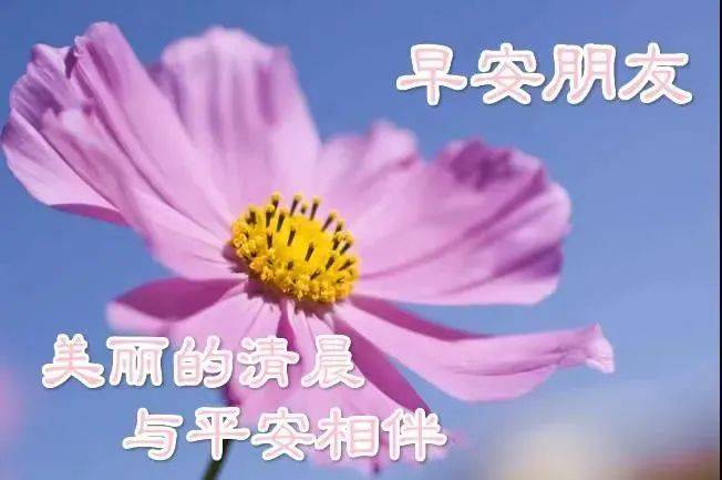 3月24日初春早上好问候祝福动态表情图片三月最美早晨好问候表情动态