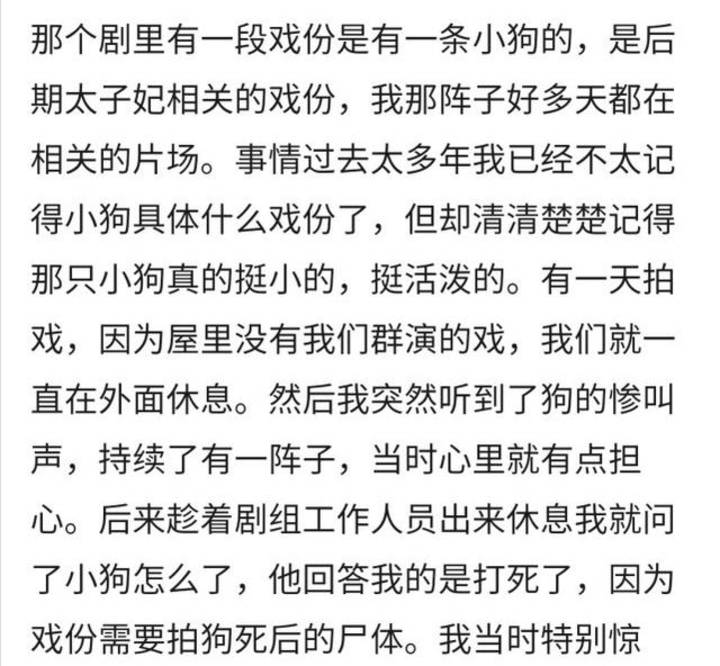 生命|《当家》虐猫事件持续升级！于正被曝《美人心计》曾打死小狗？