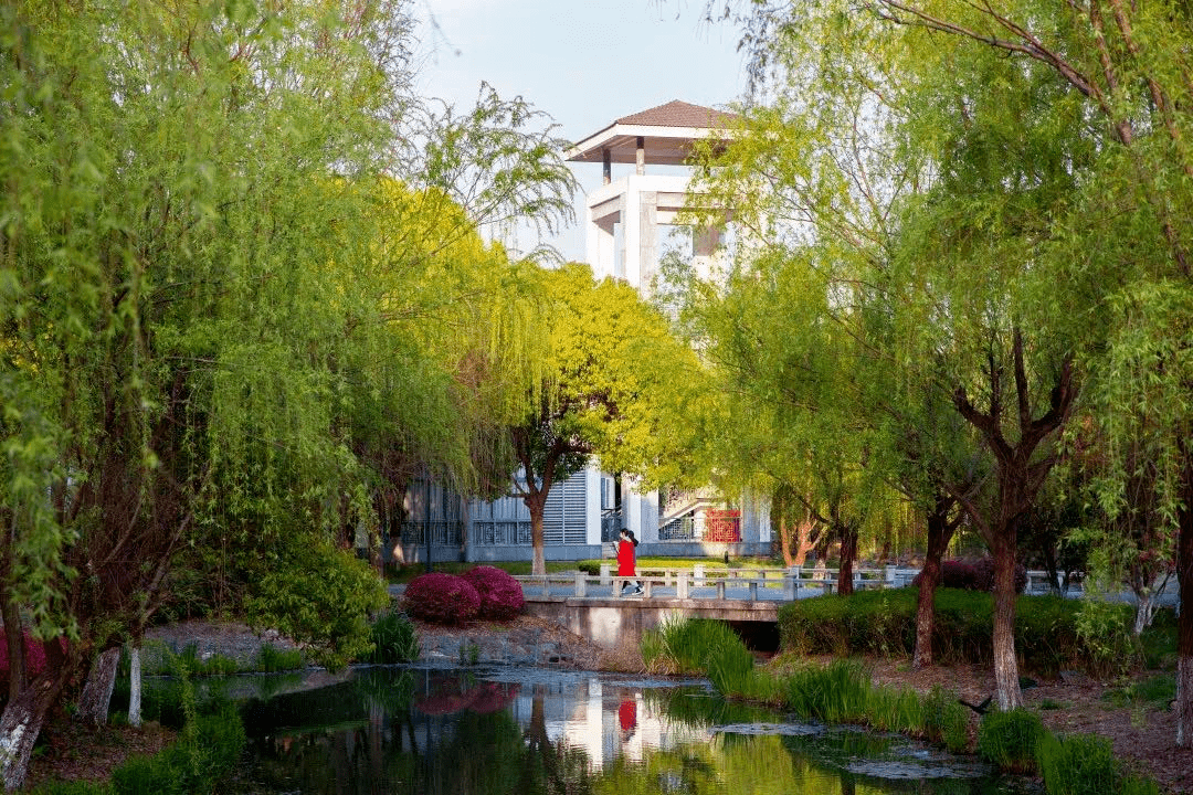 震泽中学大杨班图片