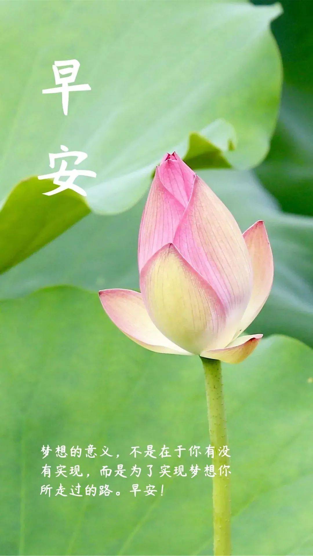 原创2022分享多的早上表情包早上表情好