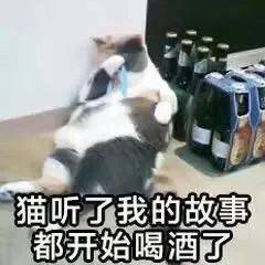 大象老虎屁屁摸不得，但ta的可以，不过不能贪摸哦！