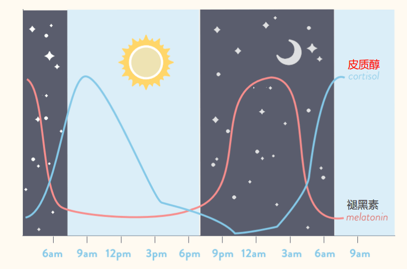 原创是否有最佳训练时间早晚训练可行懂得昼夜节律训练才会高效