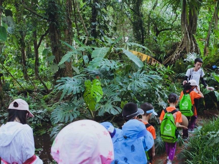 热带雨林多毒虫猛兽带孩子穿越雨林会不会有危险