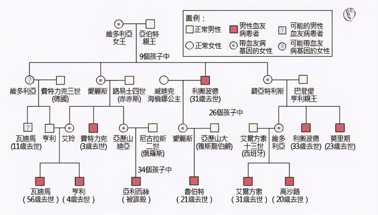 人类人数繁衍图图片