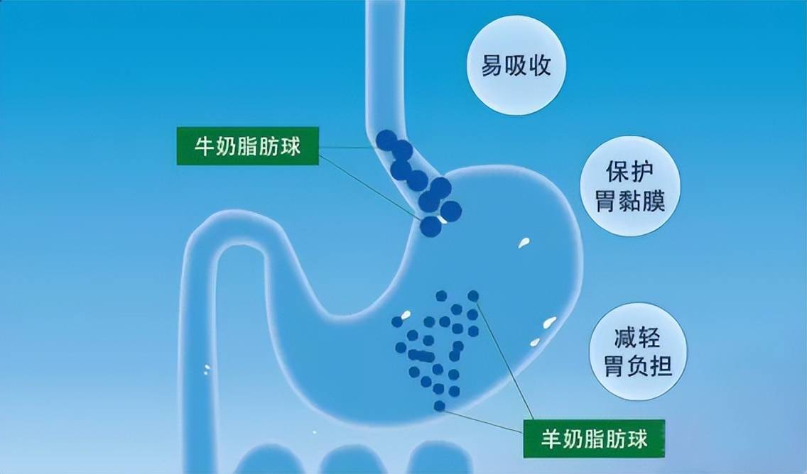 女儿骗你生女儿系列来了～精致养娃必须做到「时尚+营养」两手抓