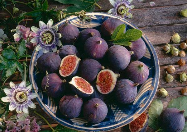 人体|无花果号称“生命之果”,究竟有哪些好处?现在为您揭晓答案