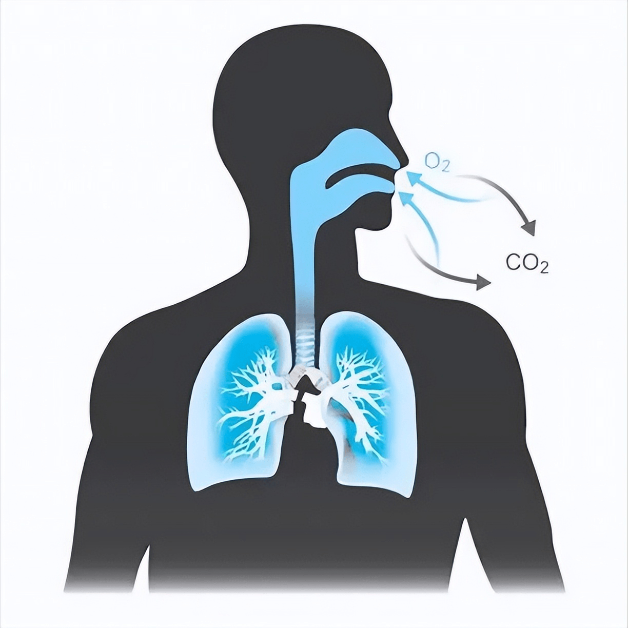 wimhof呼吸法憋气10分钟缓解压力改善睡眠提高自控力