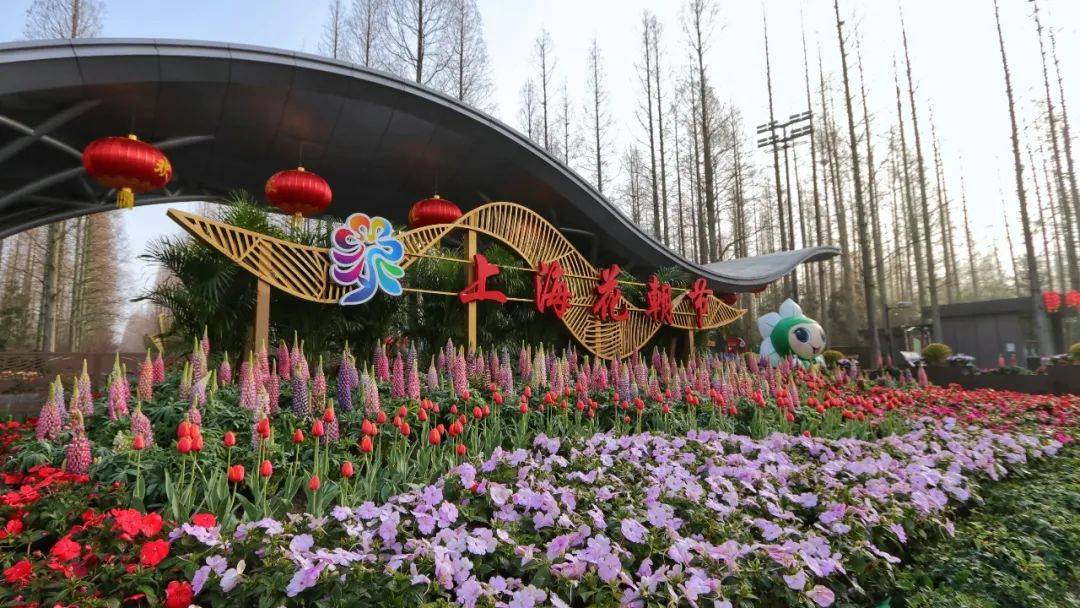 云赏花 跟着镜头一起享受东平国家森林公园的明媚春光 鸟语花香 花园 生活