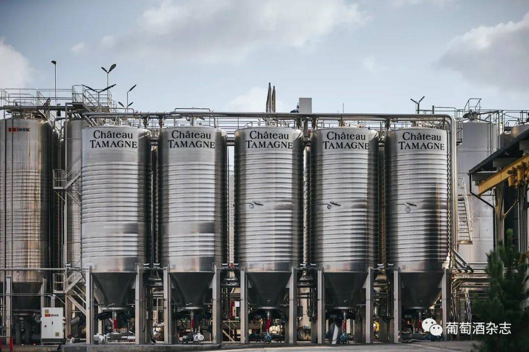 库班|黑海边上的诗与酒——俄罗斯葡萄酒如何延续了2000年？