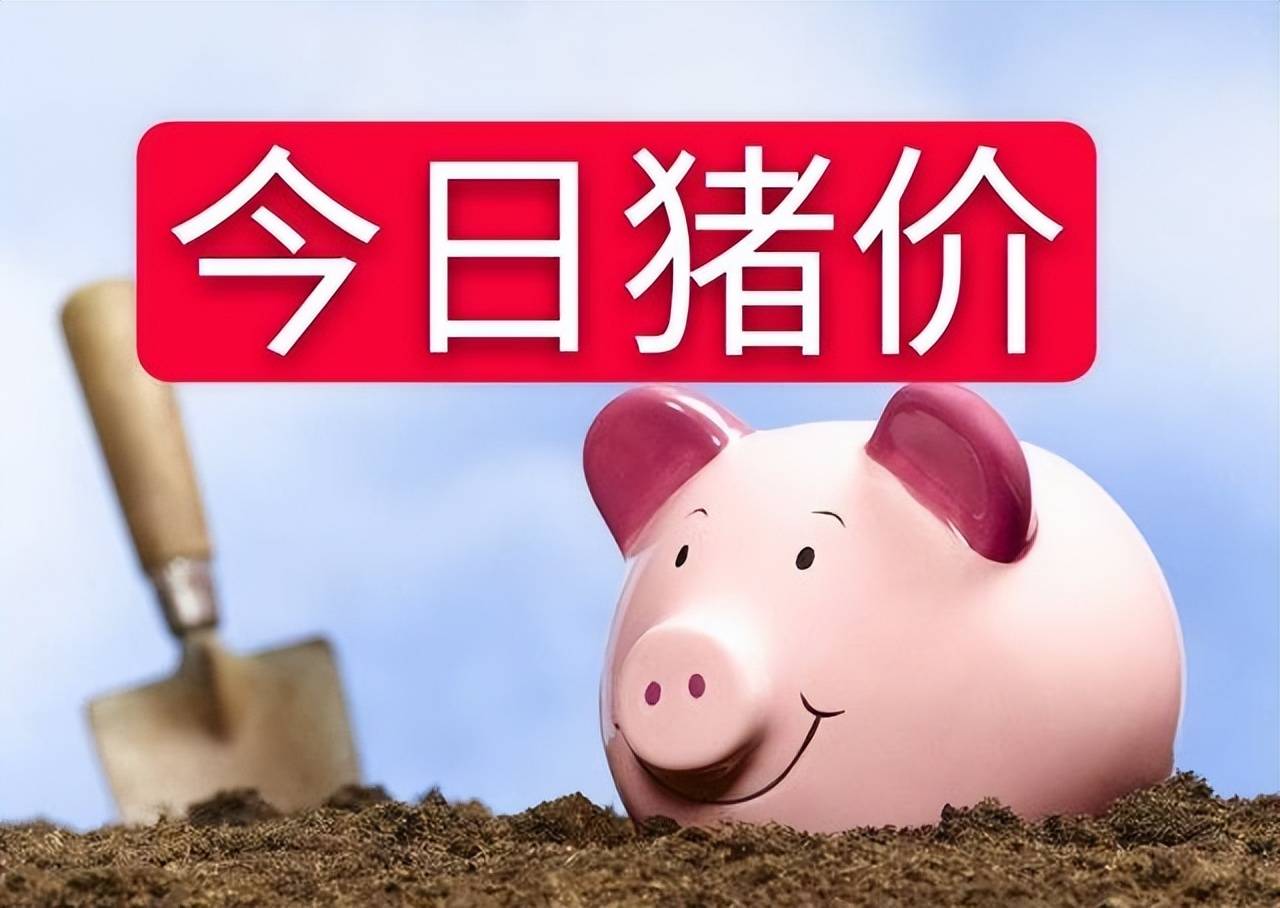 猪价上涨原因已找到,后市走势已明了