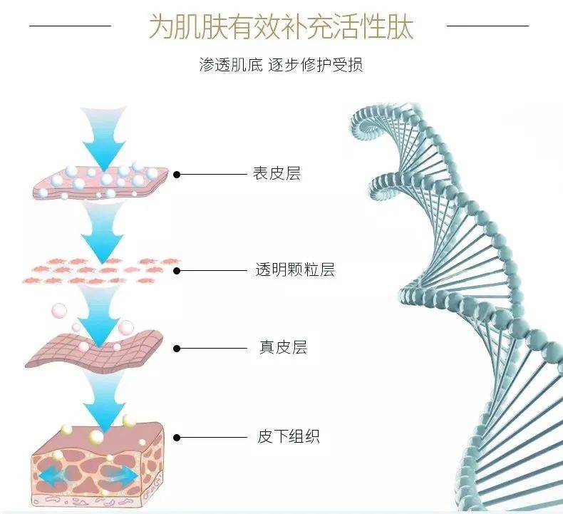 全方位【皮肤软黄金】冻干粉为什么这么火？全方位科普告诉你答案！