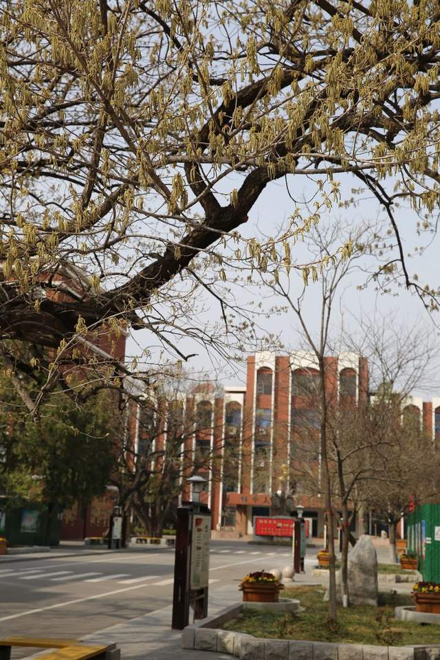 潍坊广文中学——满满的思念,等你回校园