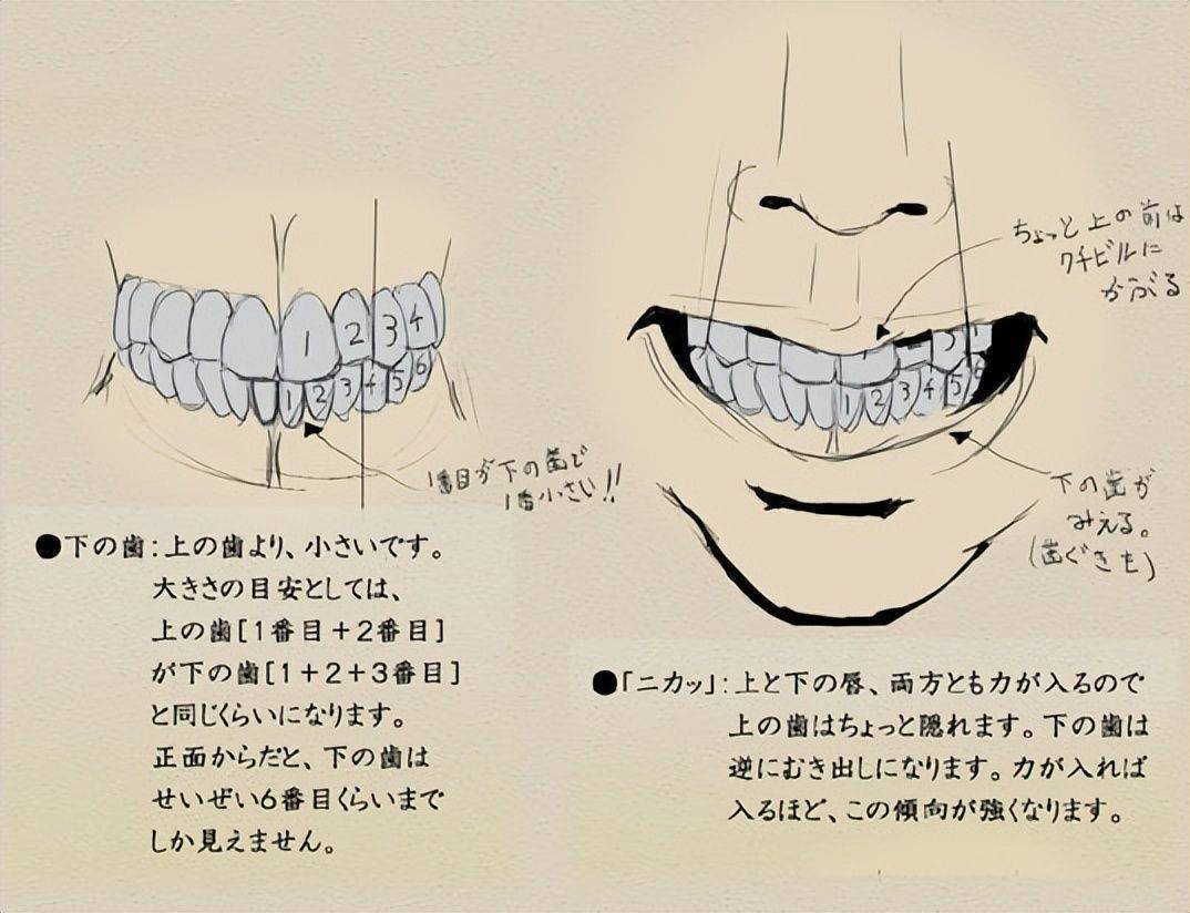 动漫人物牙齿怎么画?教你描绘人物牙齿的要点