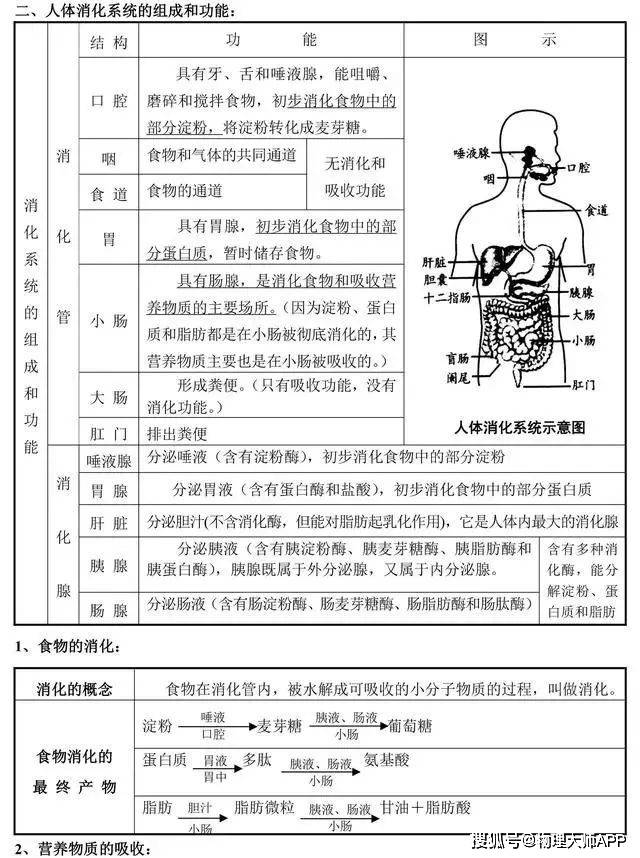 男女生殖系统填空(男女生殖系统的组成和各个结构的功能)-第1张图片-鲸幼网