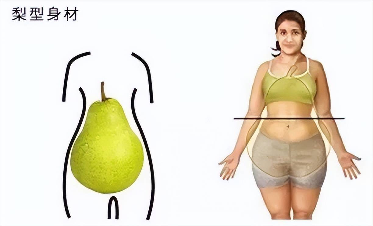 肩膀看起来宽,臀部也较宽,腿比较纤细,看起来像个苹果