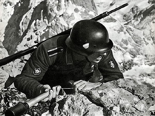 他死后希特勒悲痛下达一命令_爱德华·迪特尔_纳尔维克_德国