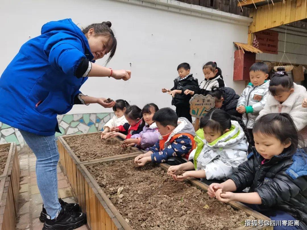 畅想春日播种希望洪雅县第二幼儿园大班组春耕春种主题活动