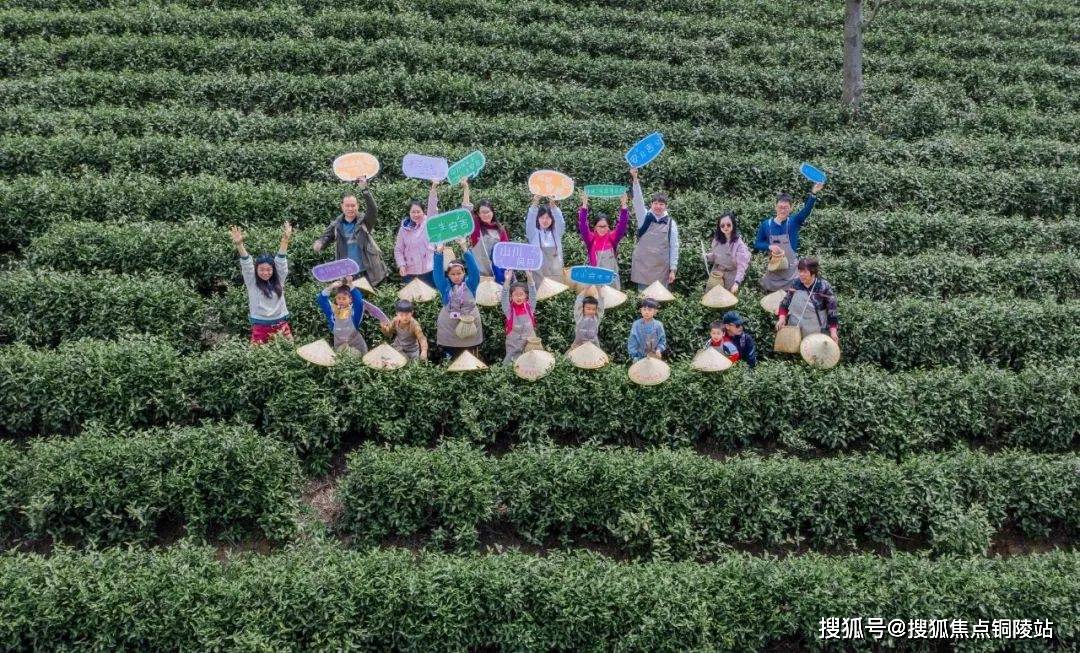 2022安吉绿城安吉桃花源-桃花源花园洋房楼盘介绍_安吉绿城桃花源洋房价格!_杭州_度假_何安桃