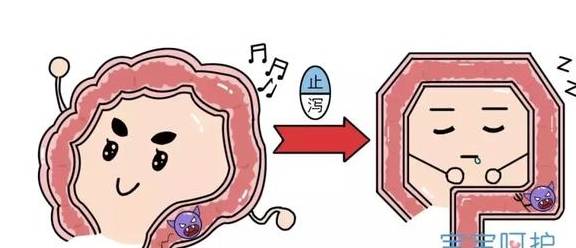 从腹泻到死亡仅半天！宝宝拉肚子家长最先做的这件事是在害他