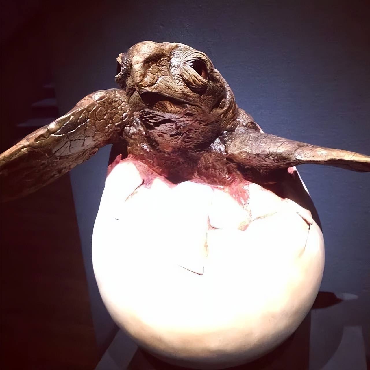 michele vitaloni 和他的超写实动物雕塑