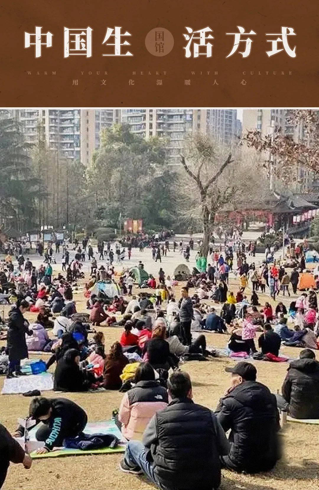 原创一出太阳草地上长满了发霉的四川人