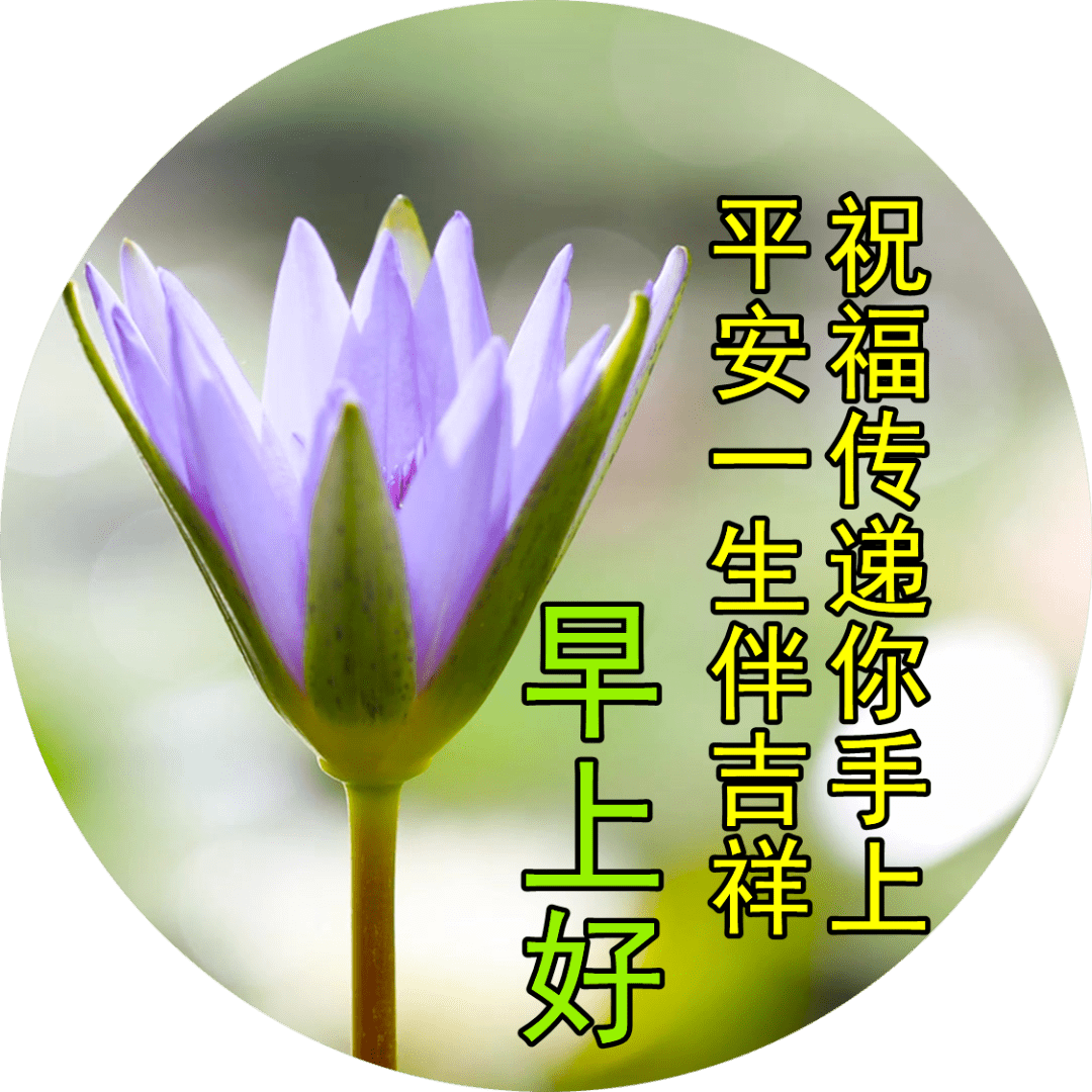 原创早上好问候祝福动态表情最新早安问候语动态图片表情