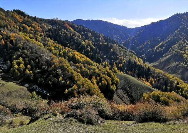 真正美輪美奐的養心之地藏不住了_木壘_旱田_平頂山村