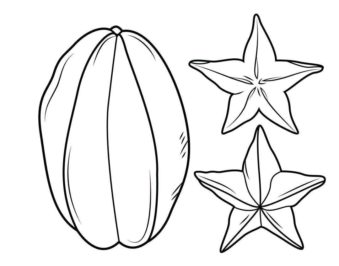 玩易易经的本来面目