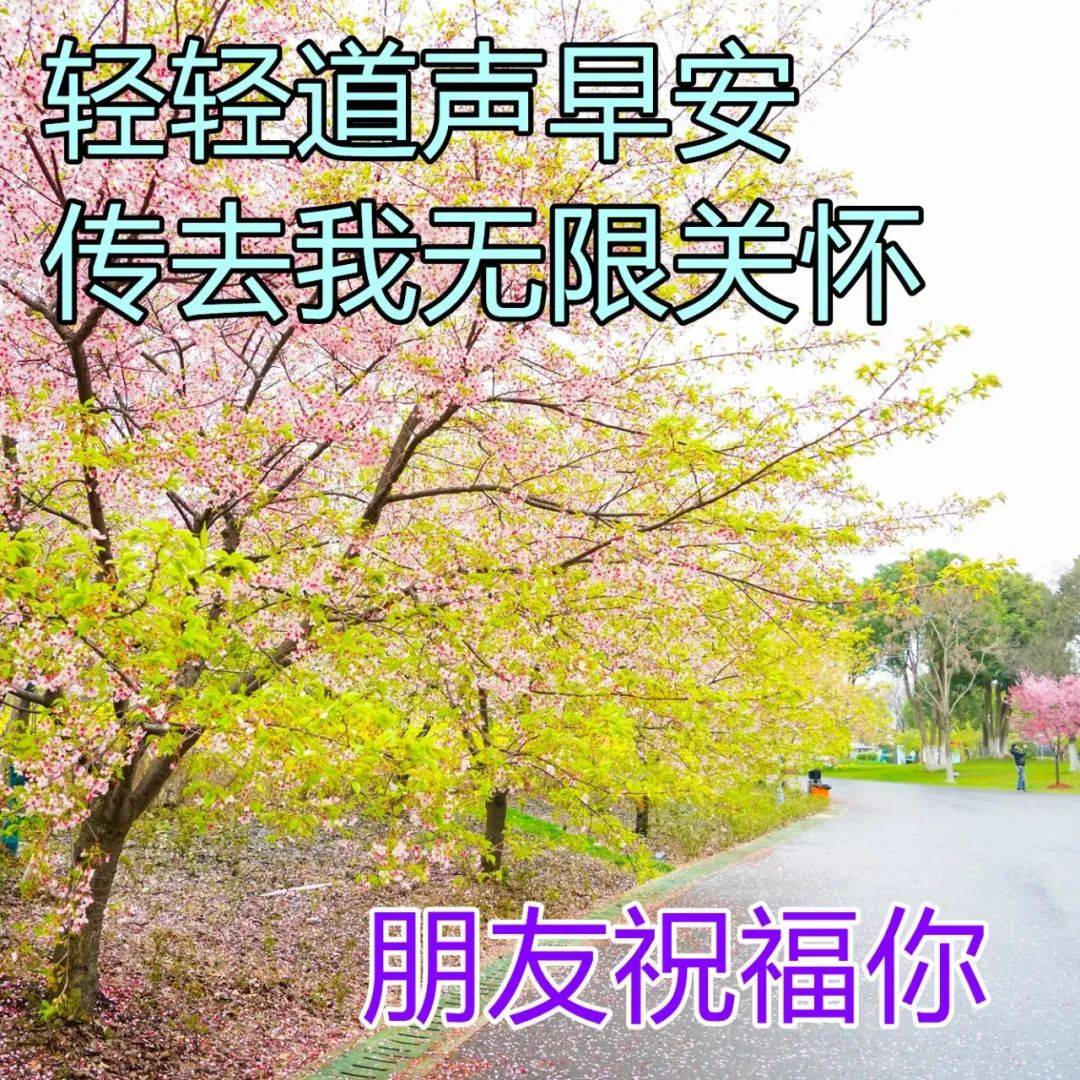 原創送給朋友的祝福圖片集錦最真誠的祝福早上好圖片送朋友