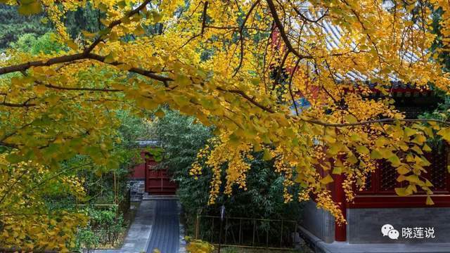 静宜秋香中国皇家园林之香山新光影一