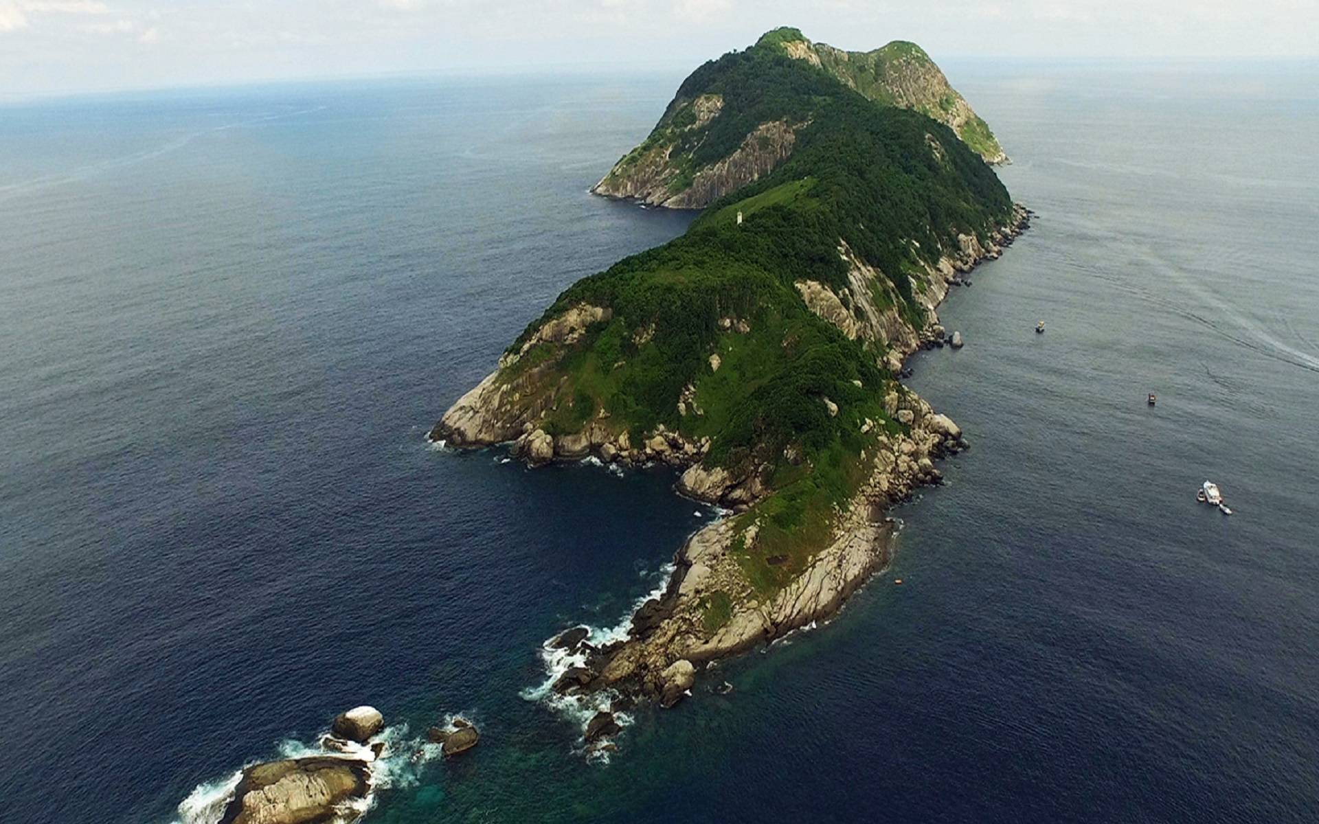 人类禁区巴西蛇岛科学家上岛就意味着你离死亡只有一米