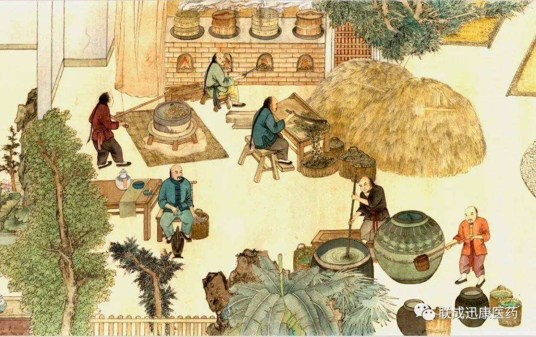 联成迅康川派炮制复制技艺奠定江湖地位