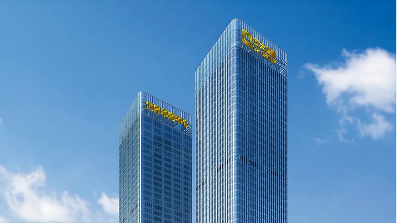 兆生x北京正大集团色彩碰撞灵动多元