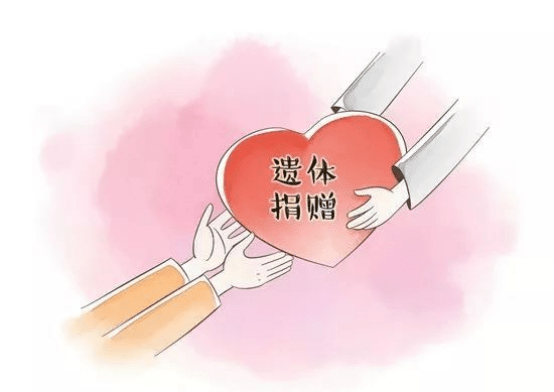 一件伟大而不平凡的事00后都开始遗体捐赠了