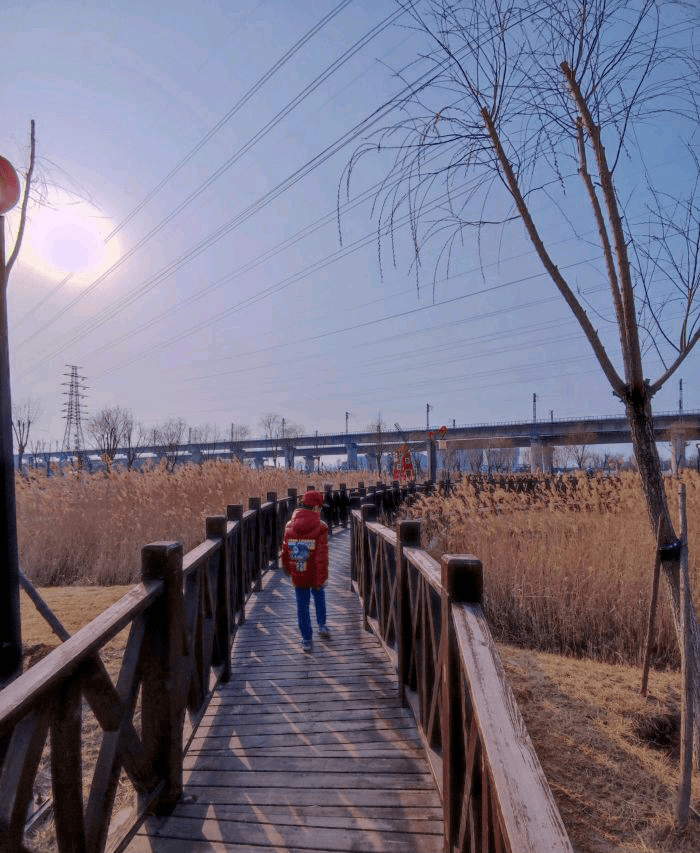 天津最受歡迎的露營地之一實拍北辰郊野公園建設的是越來越好