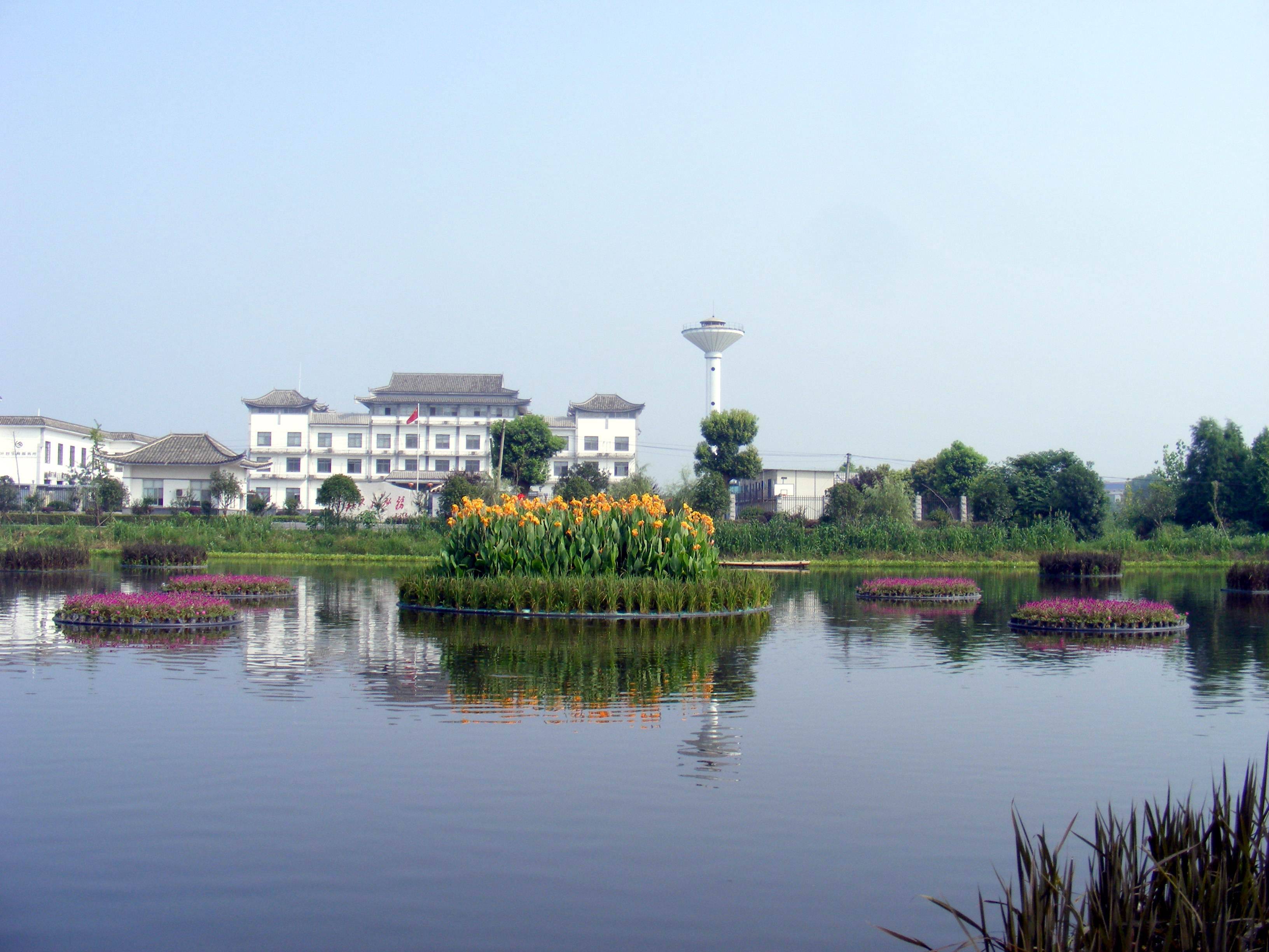 果博水上种植技术天使傅珍检希望山水河道更绚美(图7)