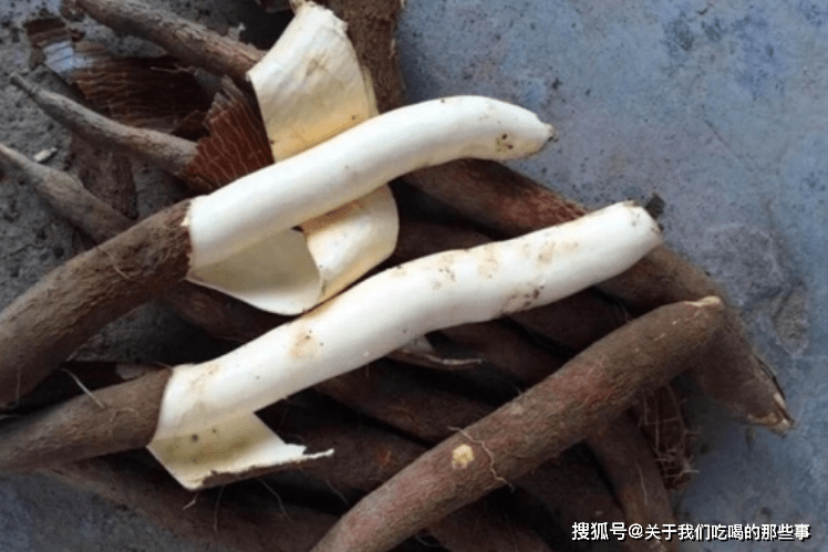木薯有毒，木薯粉条能吃吗？木薯和红薯有啥不同？弄懂心里才有底