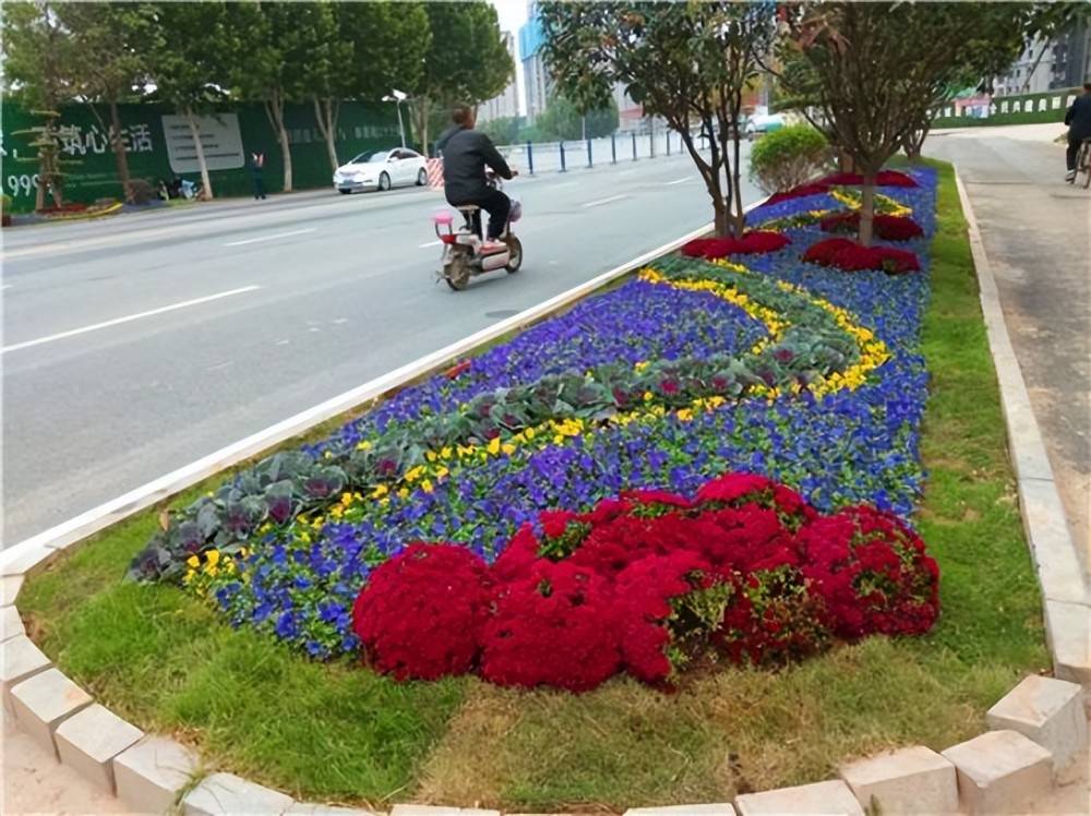 原创为啥中国随处可见的绿化带欧洲国家几乎没有他们真不用吗