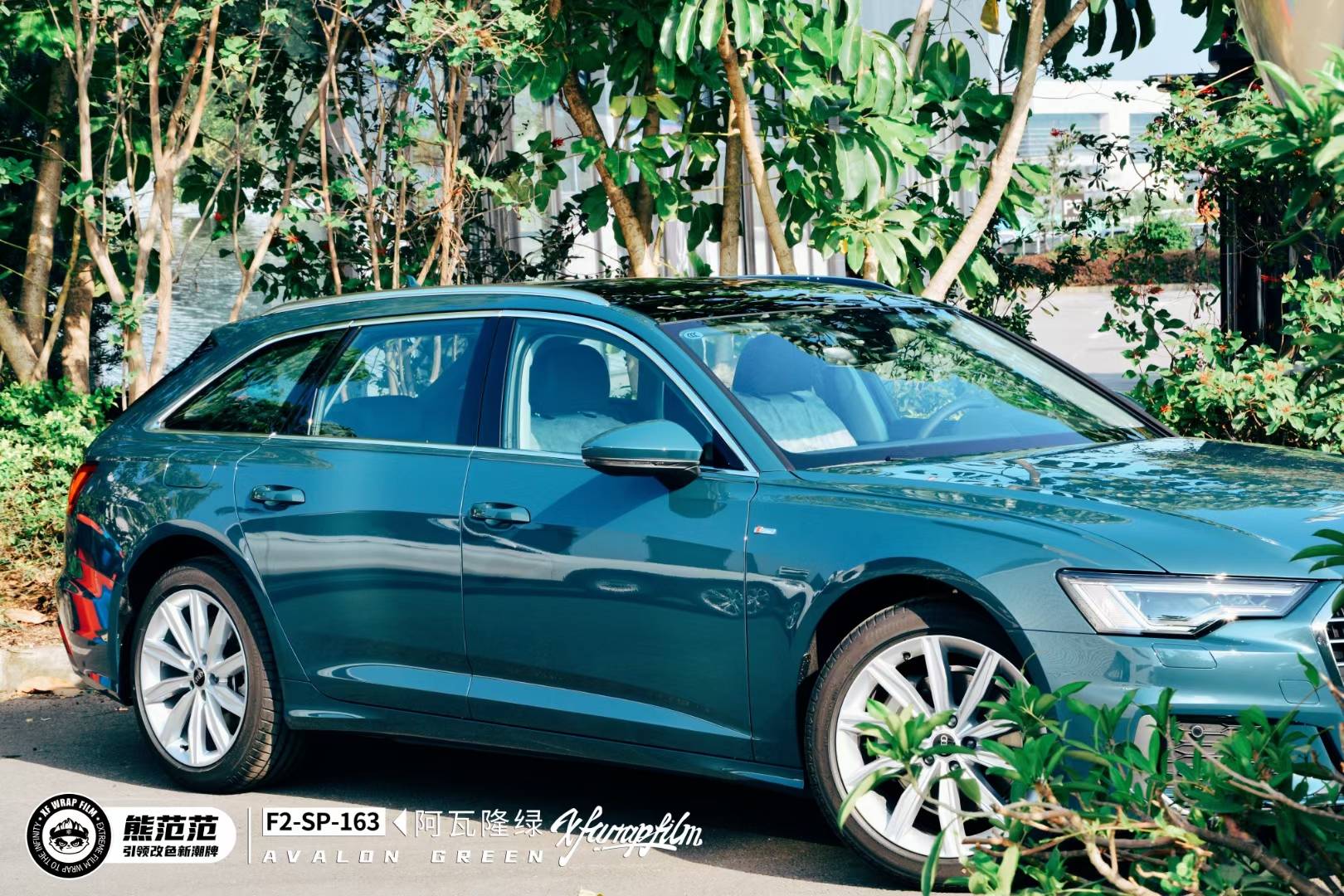 全网独家首发熊范范阿瓦隆绿奥迪深邃的绿高级范