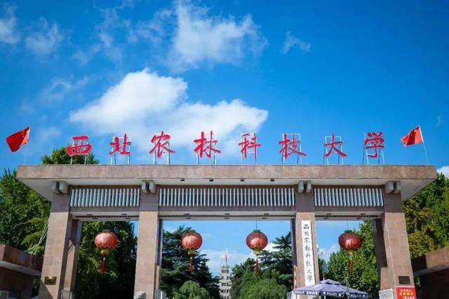 985大学“后五名”名单：中海大倒数第三，中央民大倒数第一