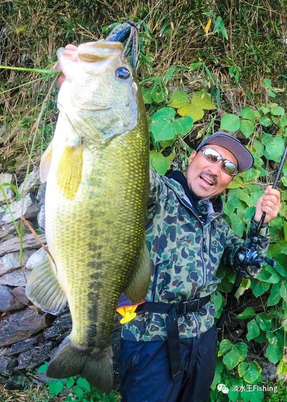 路亚·心得丨细谈水库路亚巨鲈的实钓经验与技巧【秦拓马】_鲈鱼_池塘