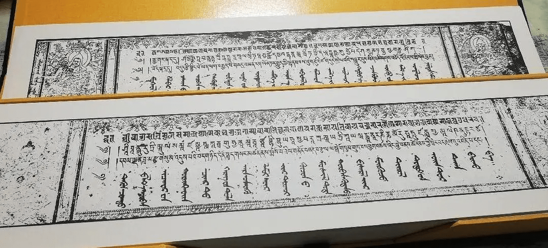 带你探秘藏医学瑰宝四部医典