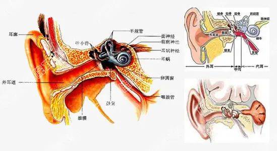 梅尼埃_治療_眩暈