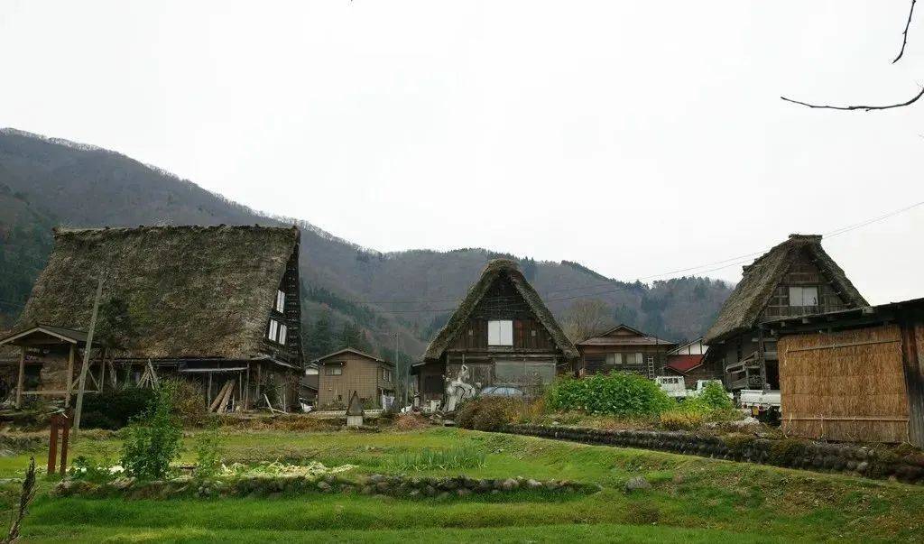 茅草屋_美山_屋顶