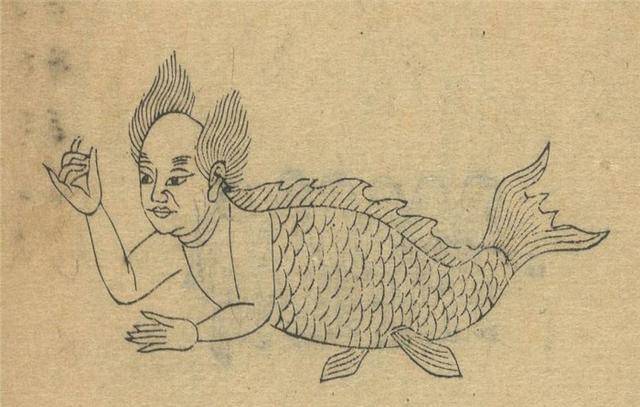 韩国曾出现奇怪生物在山海经中有记载被称为人脸鱼