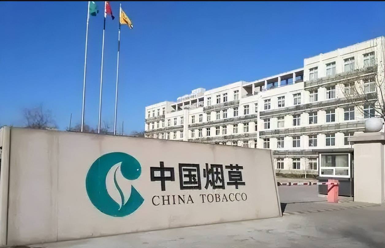 中国烟草招聘正式工月薪9000以上没有笔试面试通过就可以上岗BOB全站(图1)