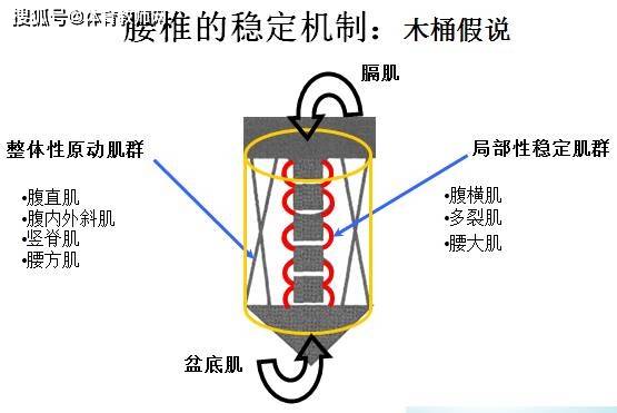 懸吊訓練療法