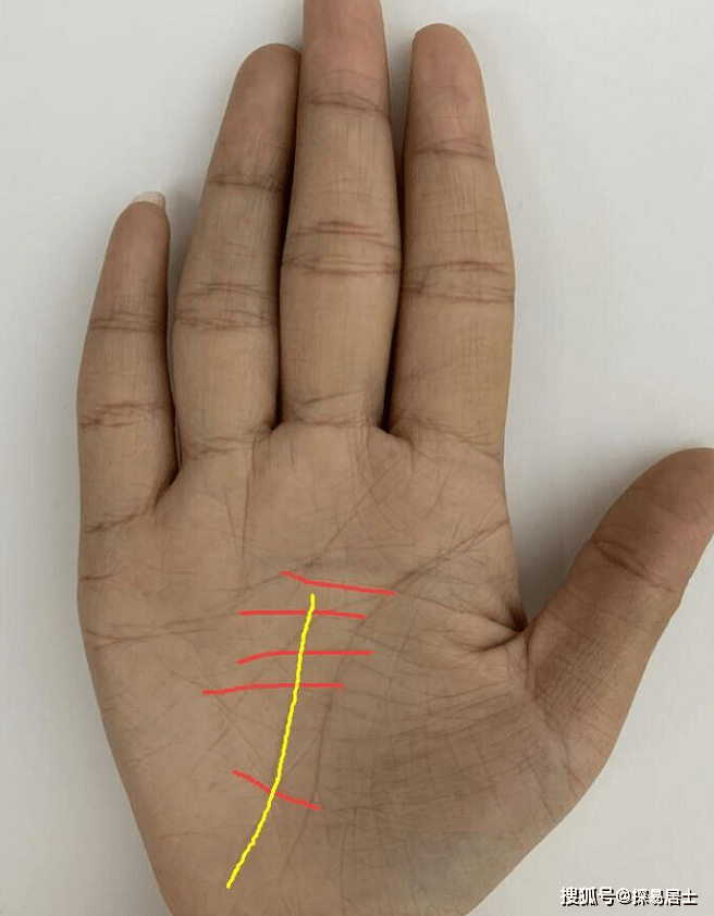 机遇与阻碍并存,这样的手相特征你有吗?_横纹_事业_阻力