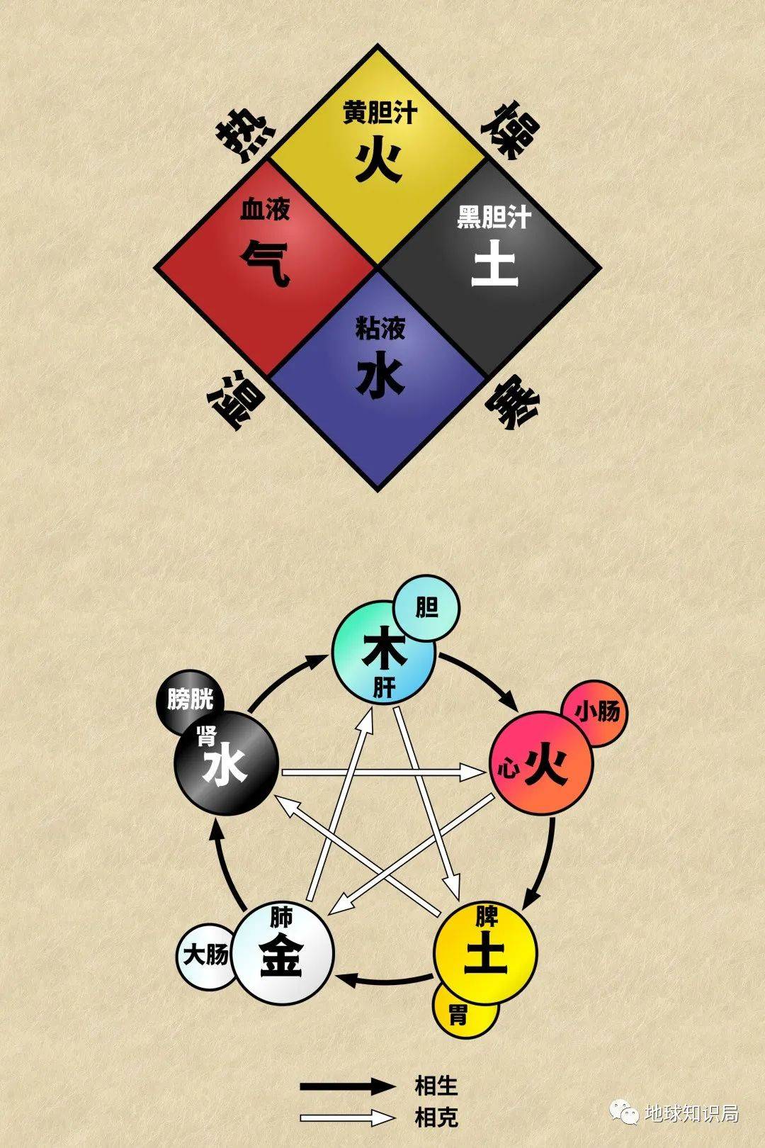 这种病,非洲特别多|地球知识局